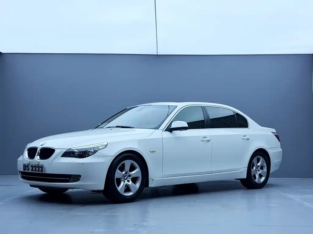 BMW 5 Series 2010