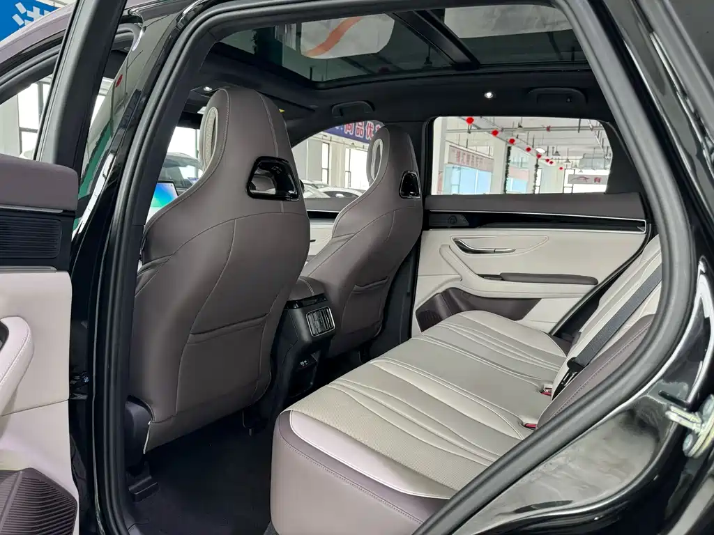 BYD PLUS New Energy 2024 — фото 8