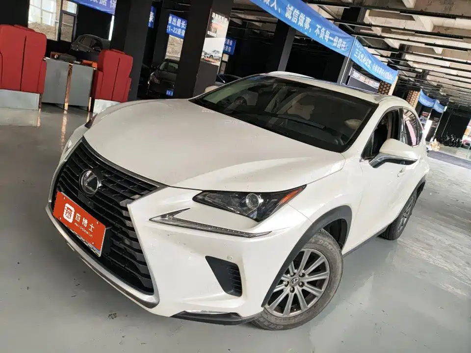 Lexus NX 2020 — фото 1