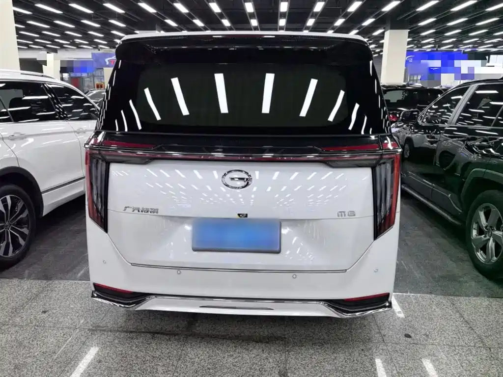 GAC Motor Trumpchi M8 2024 — фото 6
