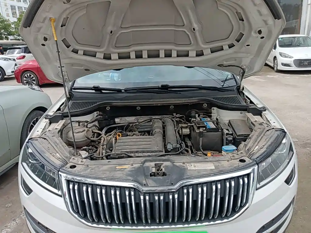 Skoda Karoq 2021 — фото 20