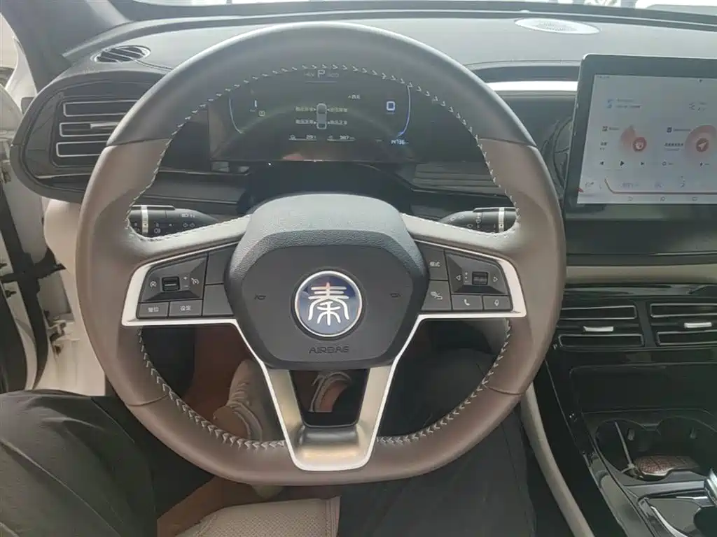 BYD Qin PLUS 2024 — фото 11