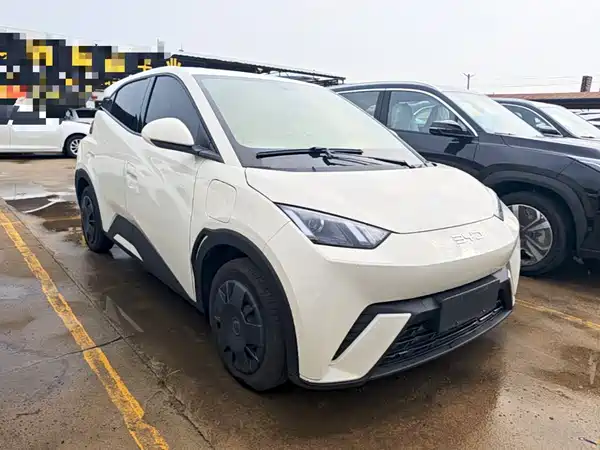 BYD Seagull 2025
