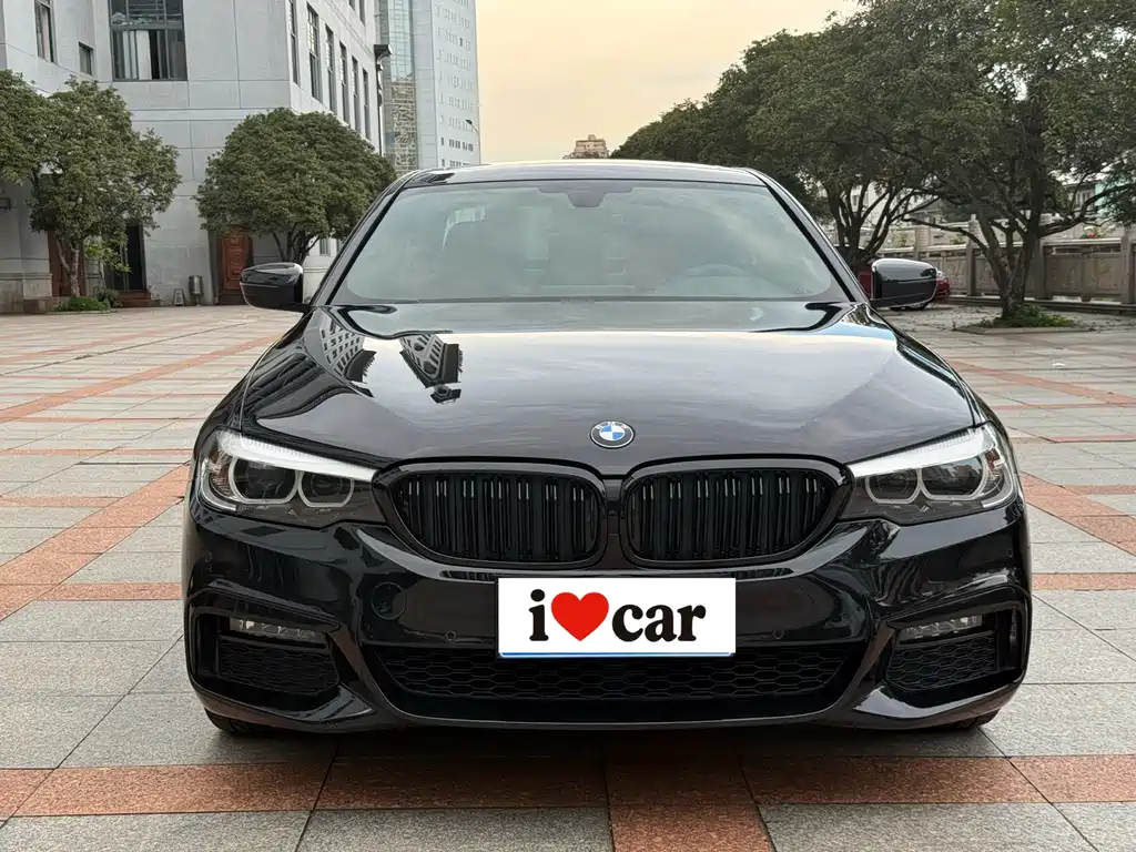 BMW 5 Series 2019