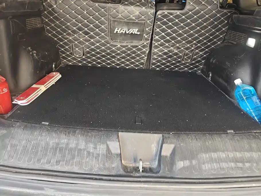 Haval Big Dog 2022