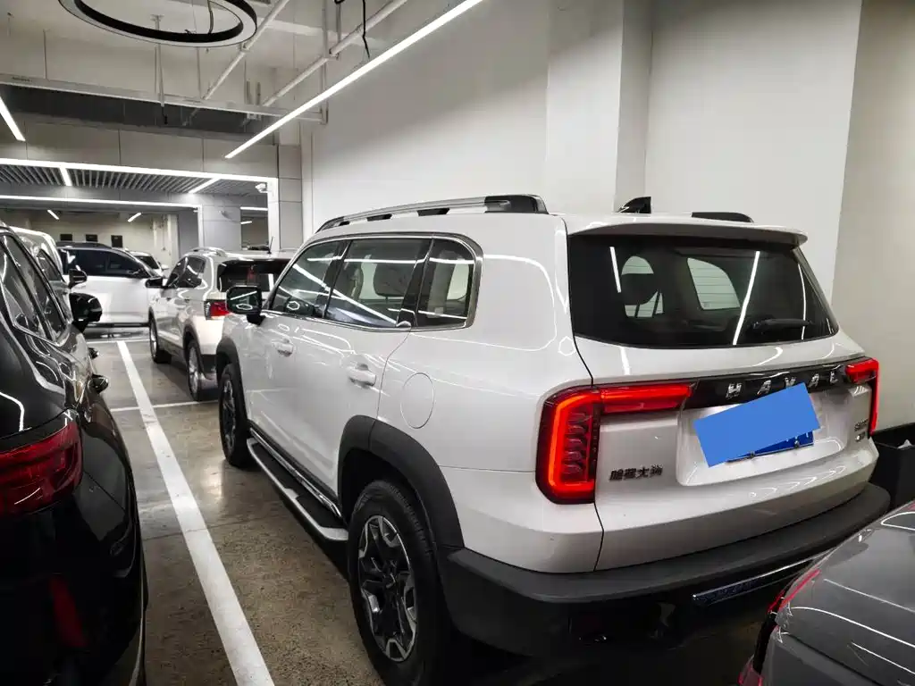 Haval Big Dog 2021 — фото 19