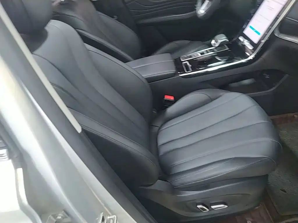 Roewe RX5 MAX 2019 — фото 25