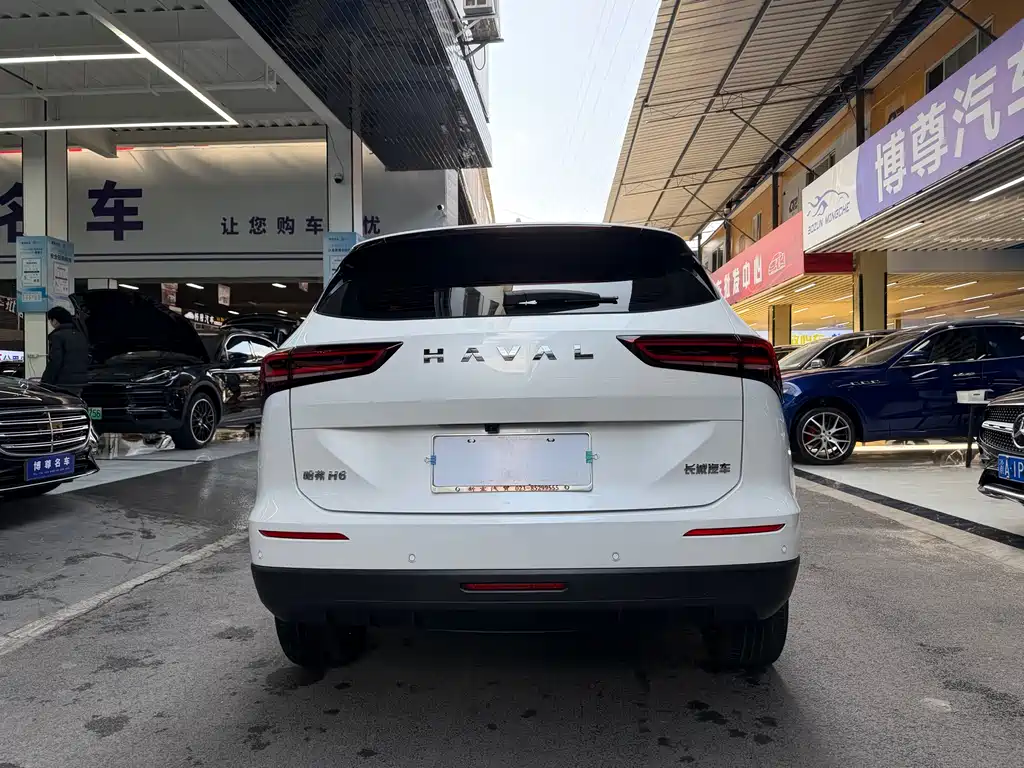 Haval H6 2024 — фото 25