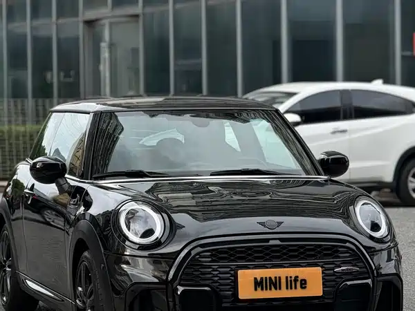 MINI MINI 2022