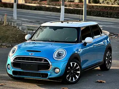 MINI MINI 2015
