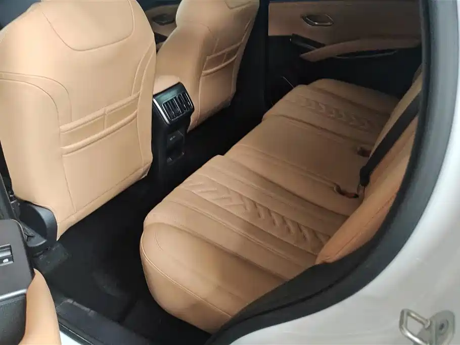BYD L DM-i 2024 — фото 11