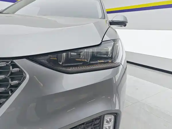 Wey VV6 2020