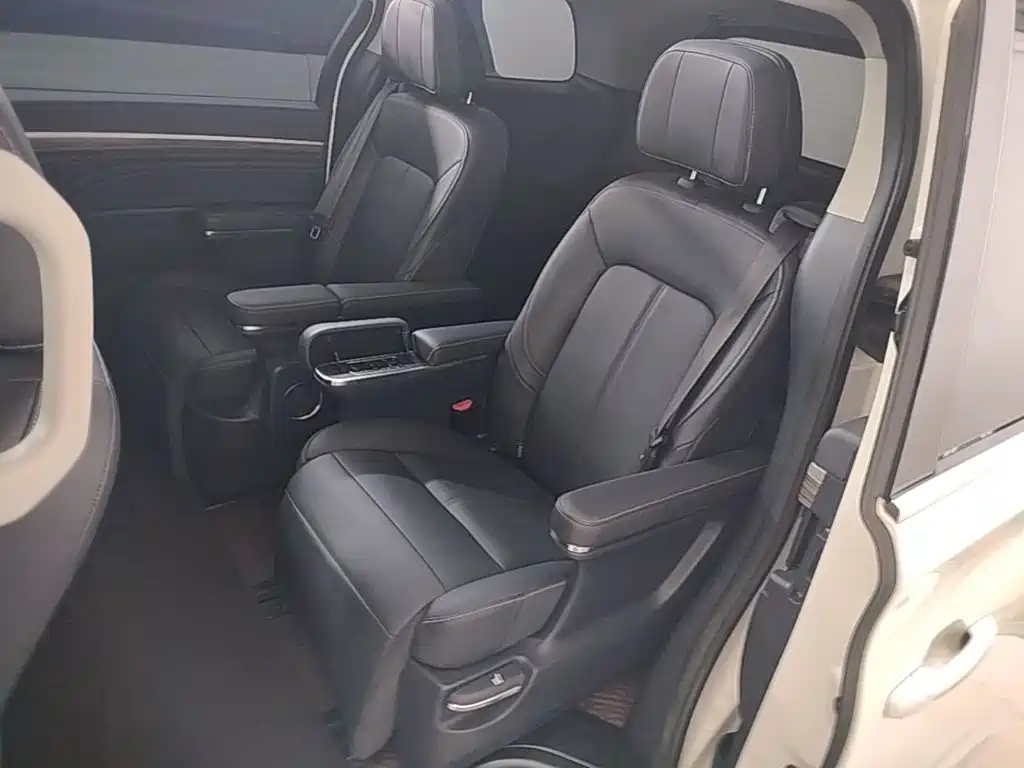 GAC Trumpchi M8 2020 — фото 17