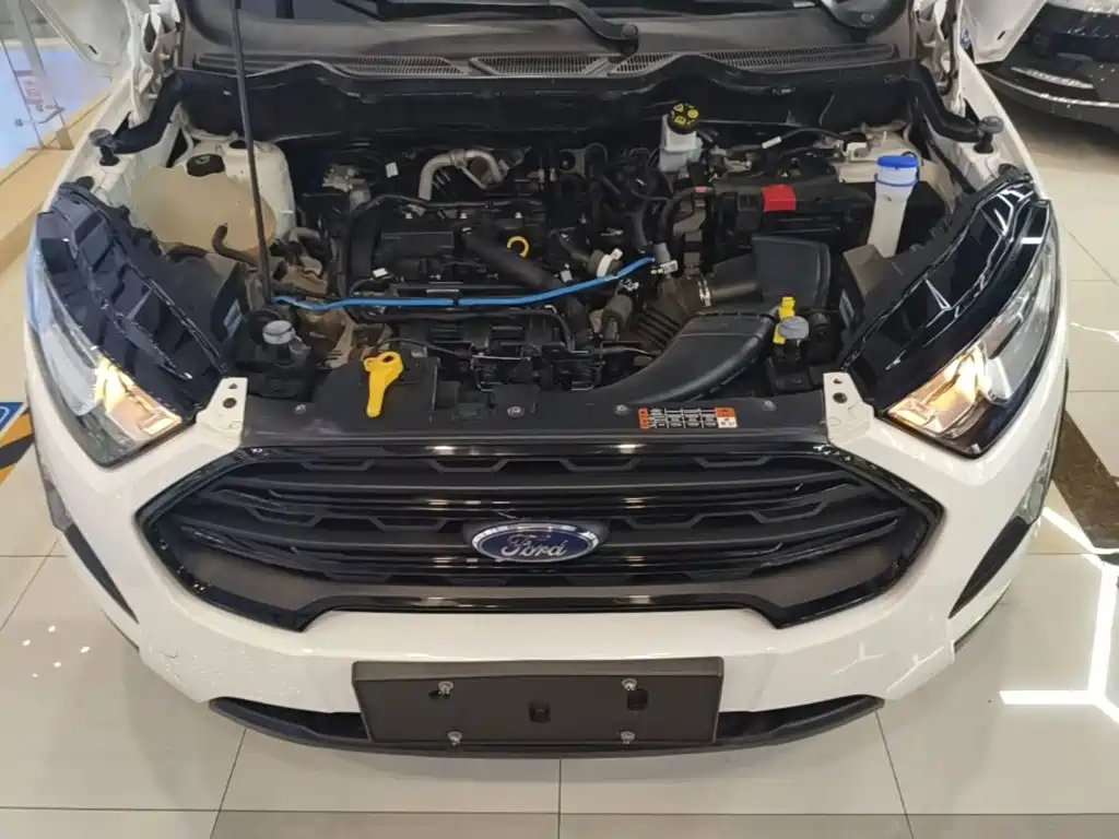 Ford EcoSport 2018 — фото 20
