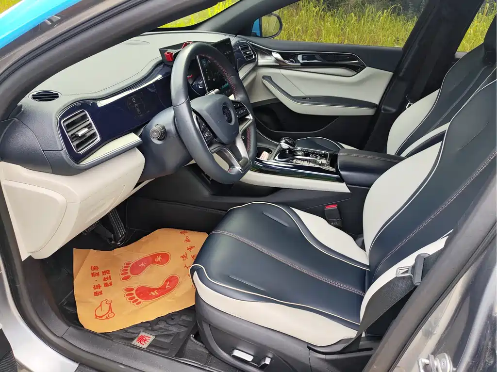 BYD Qin PLUS 2021