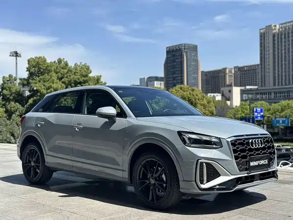 Audi Q2L 2022