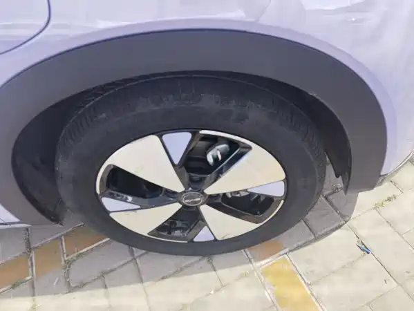 BYD Dolphin 2023