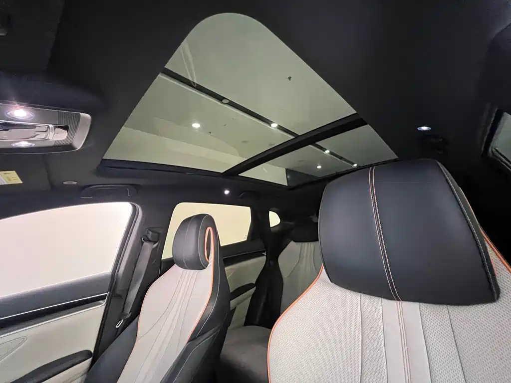 BYD Song PLUS New Energy 2023 — фото 21