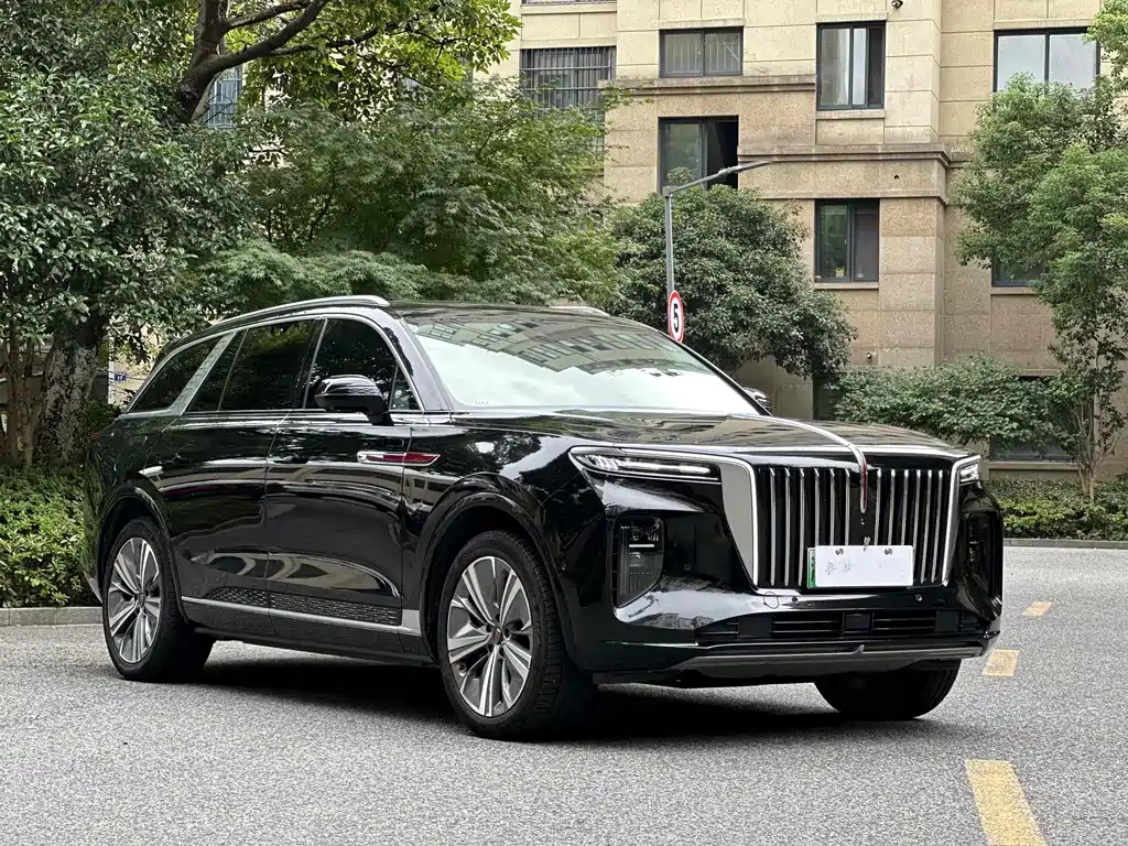Hongqi E-HS9 2021 — фото 3