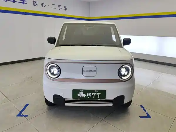 Geely Galaxy Panda 2024
