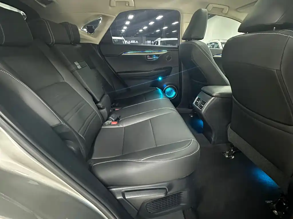 Lexus NX 2019 — фото 11