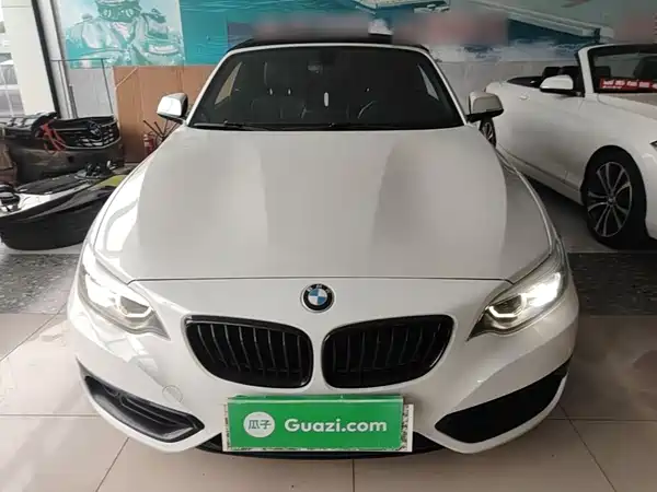 BMW 2 Series 2019