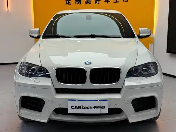 BMW X6 M 2010