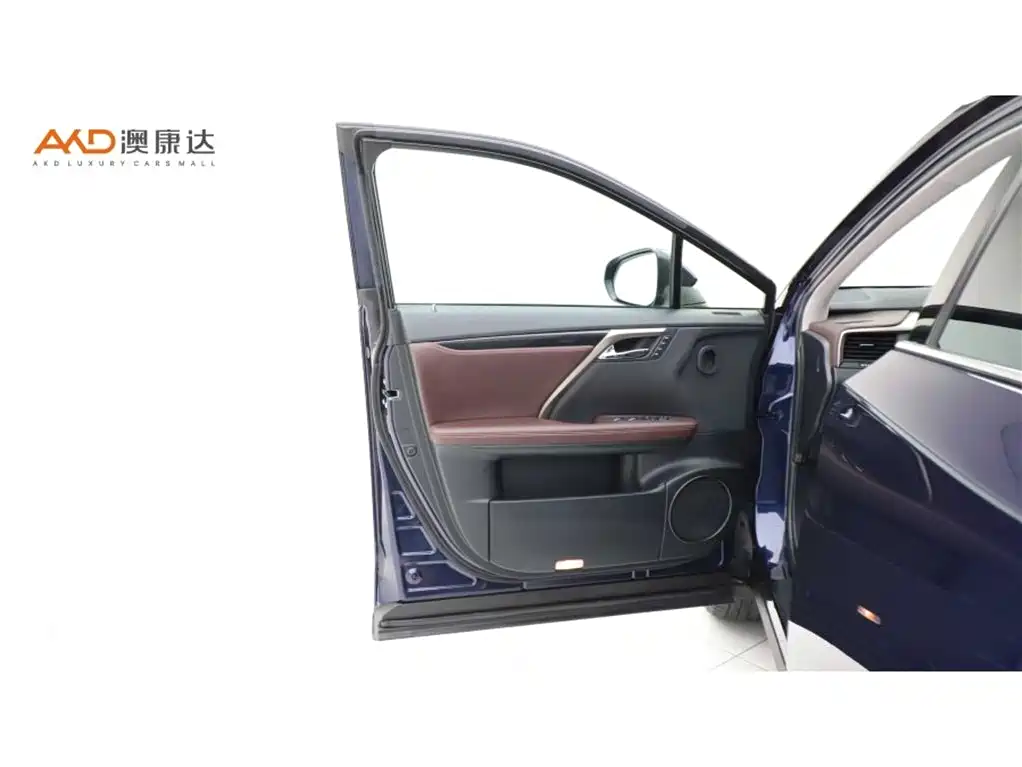 Lexus RX 2020 — фото 10