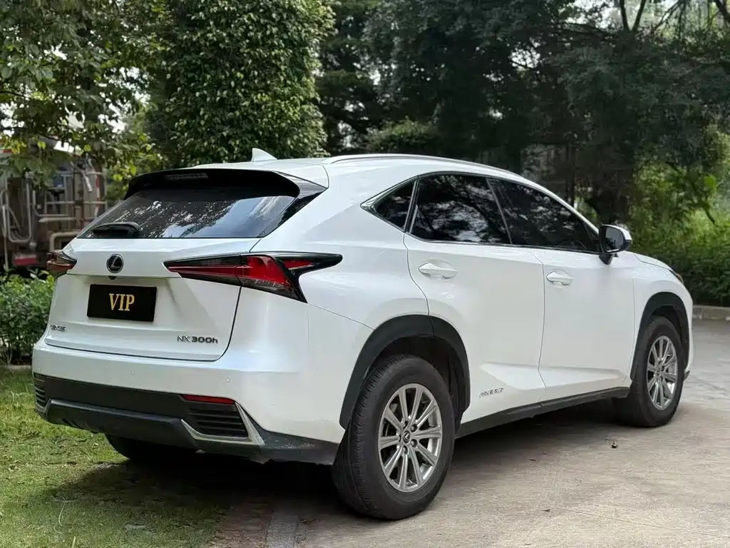 Lexus NX 2020 — фото 7