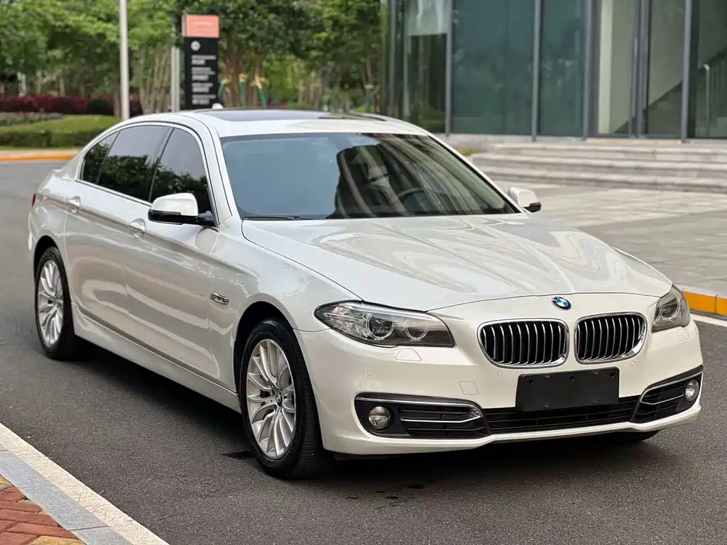 BMW 5 Series 2014 — фото 3
