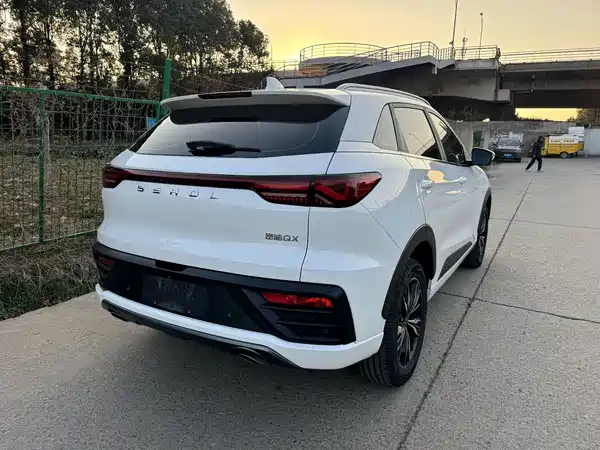 Sehol QX 2021