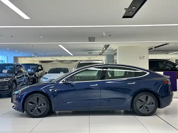Tesla Model 3 2019