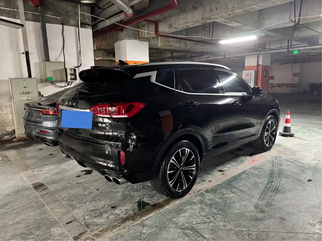 Wey VV6 2020
