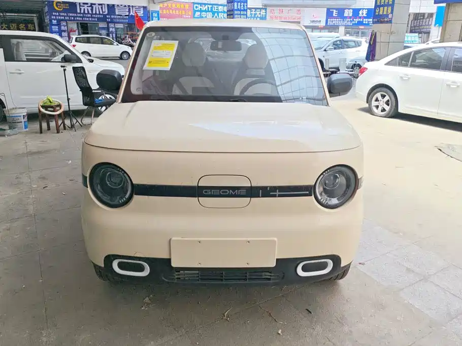 Geely Galaxy Panda 2026