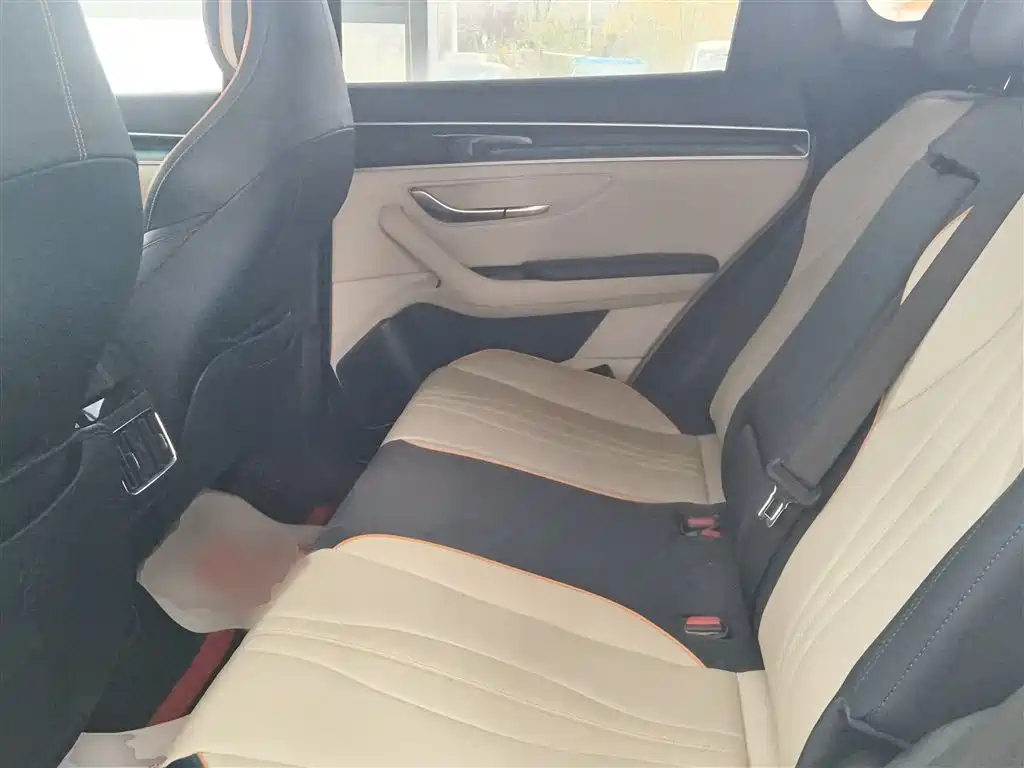 BYD PLUS New Energy 2022 — фото 17