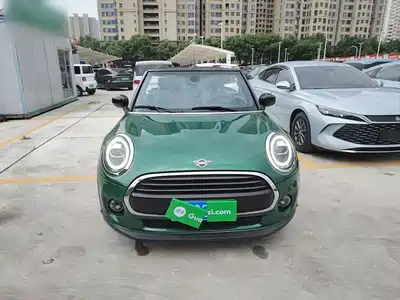 MINI MINI 2021