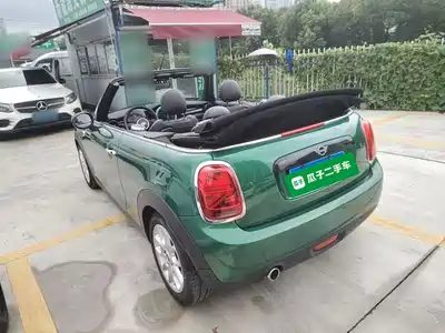 MINI MINI 2021