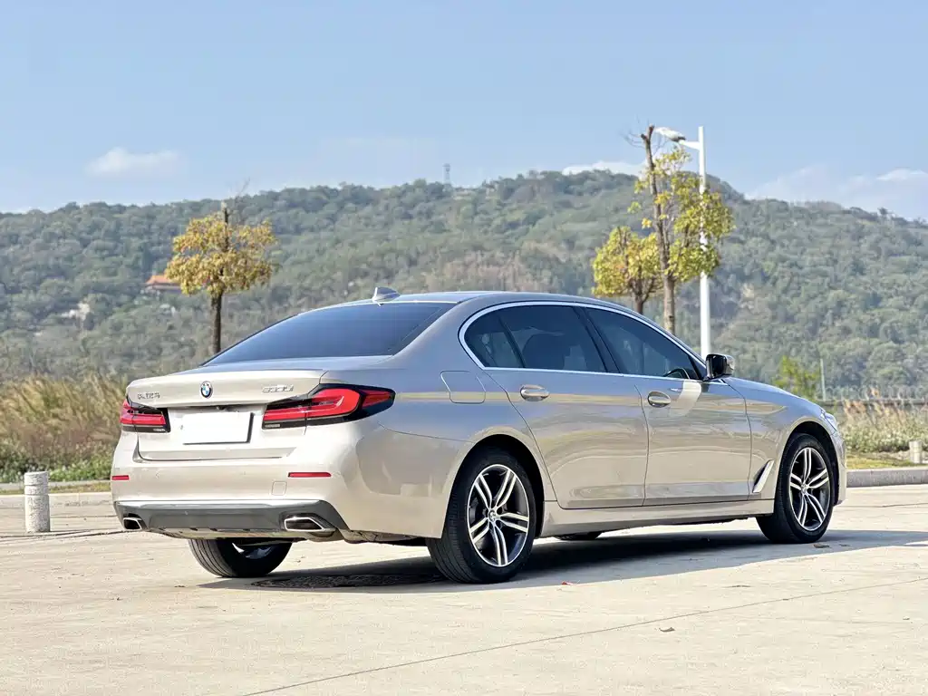 BMW 5 Series 2021