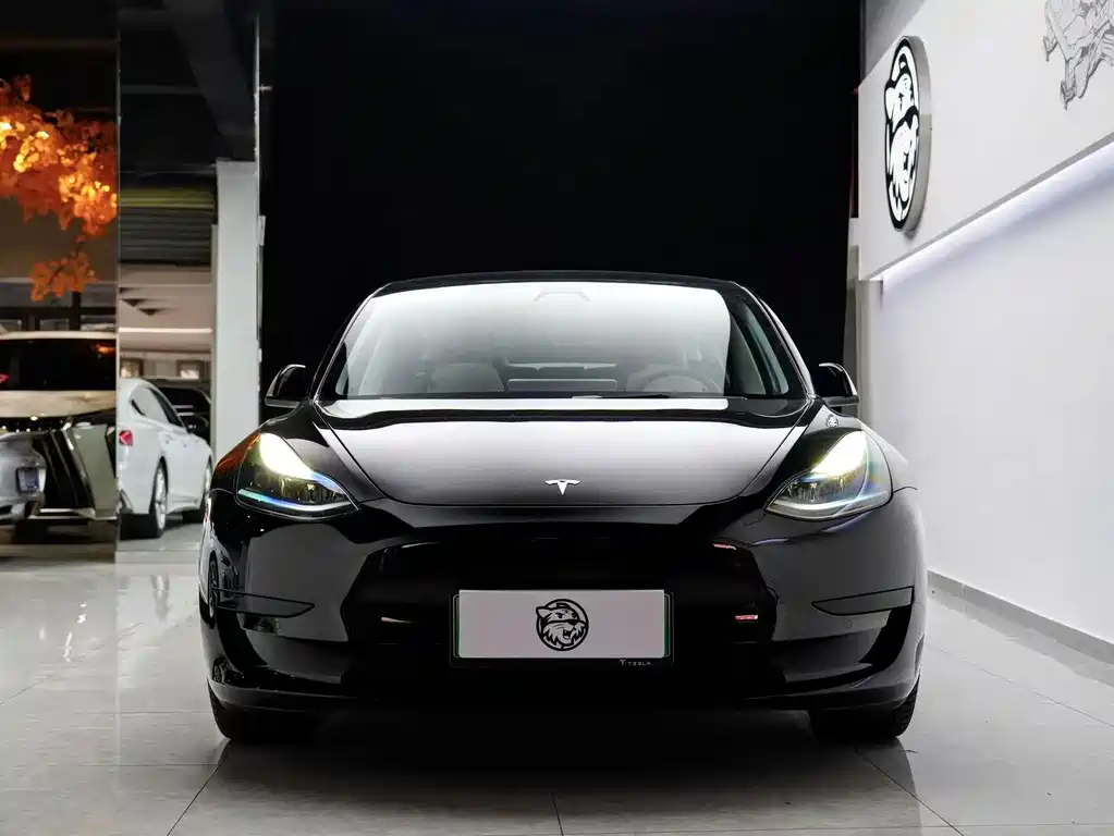 Tesla Model 3 2023 — фото 2