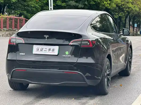 Tesla Model Y 2021