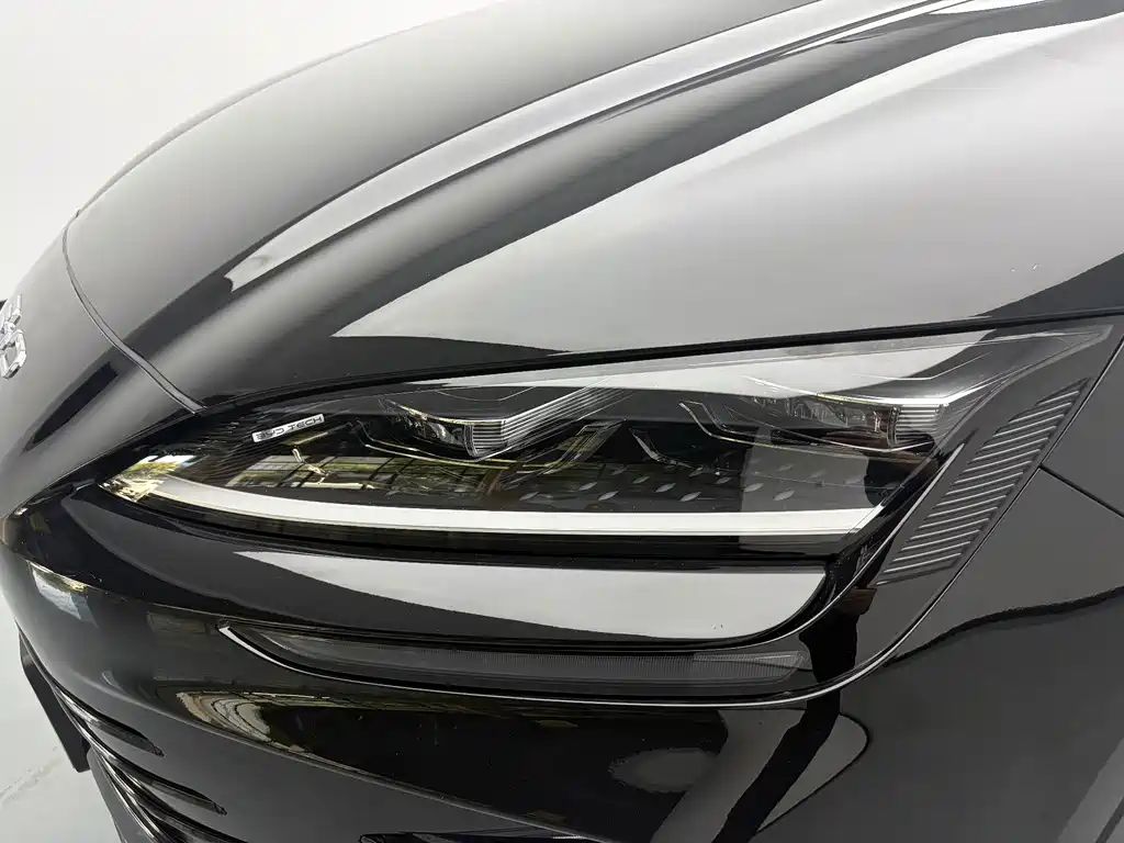 BYD Song PLUS New Energy 2024 — фото 10