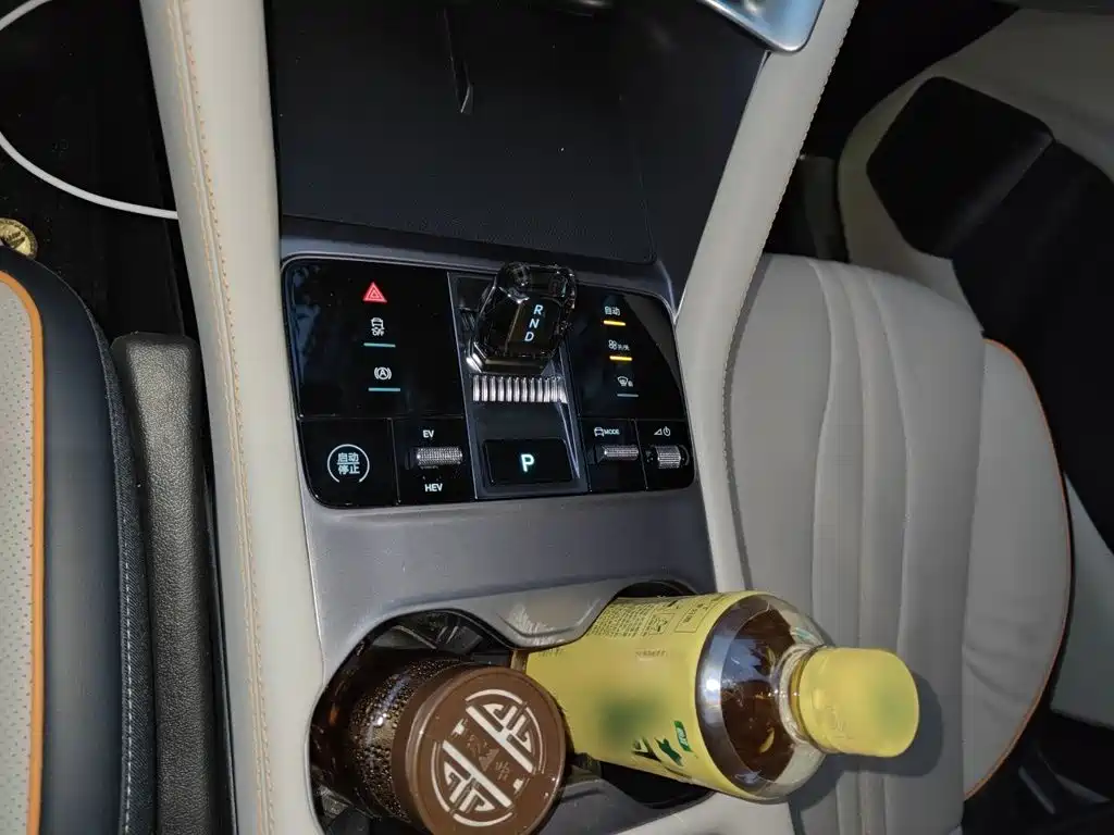 BYD Song PLUS New Energy 2024 — фото 7