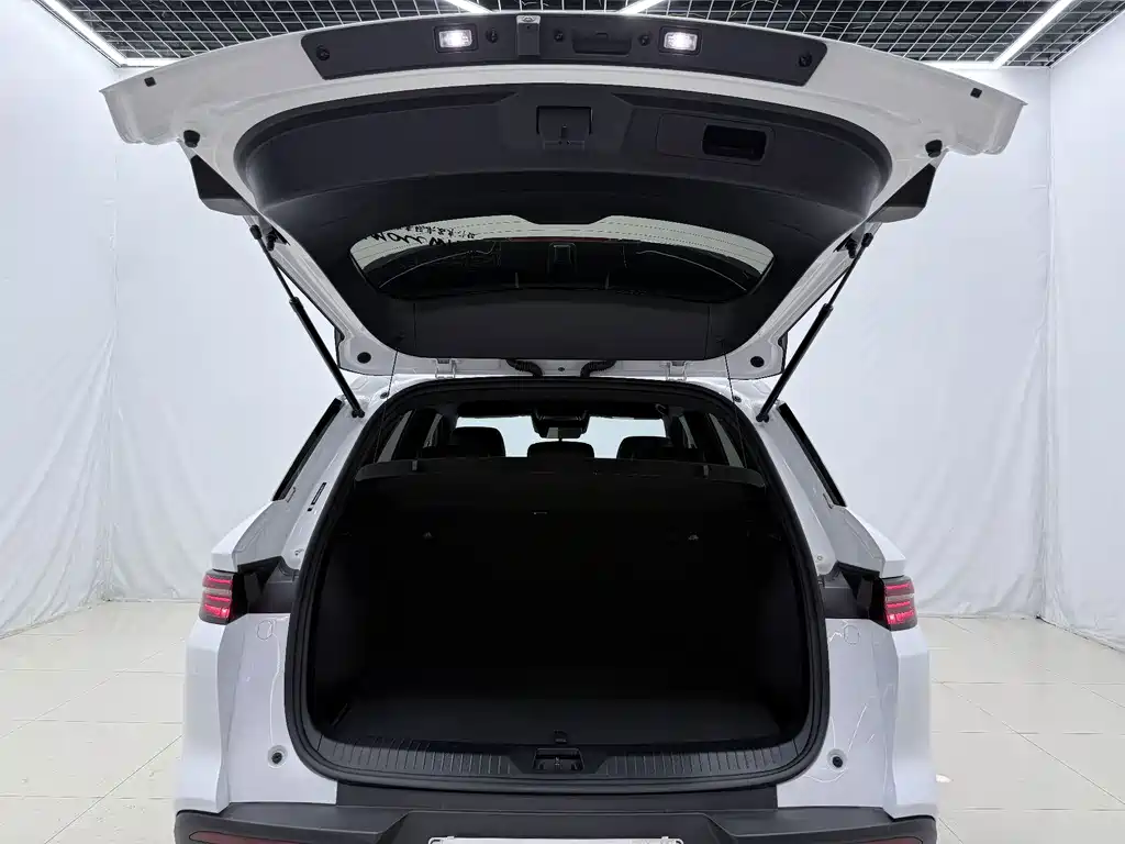BYD Song Pro New Energy 2025 — фото 15