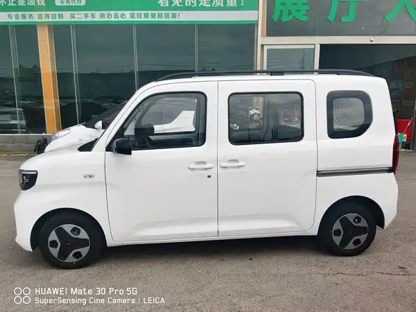 Wuling Zhiguang New Energy 2026
