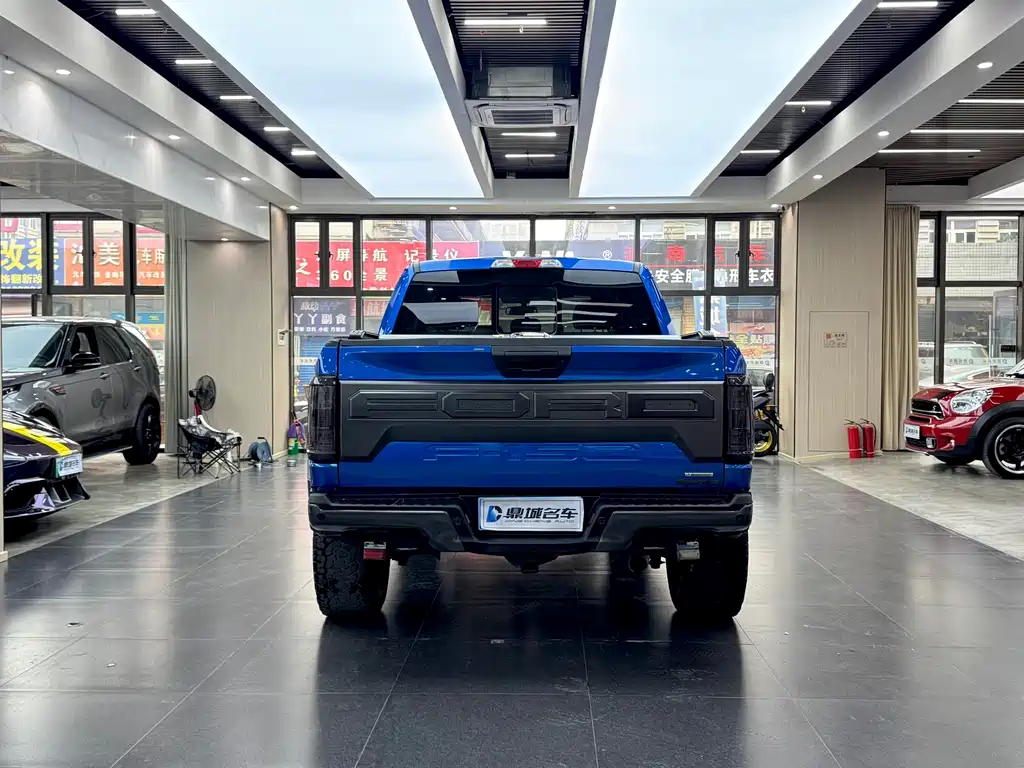 Ford F-150 Raptor 2020 — фото 13