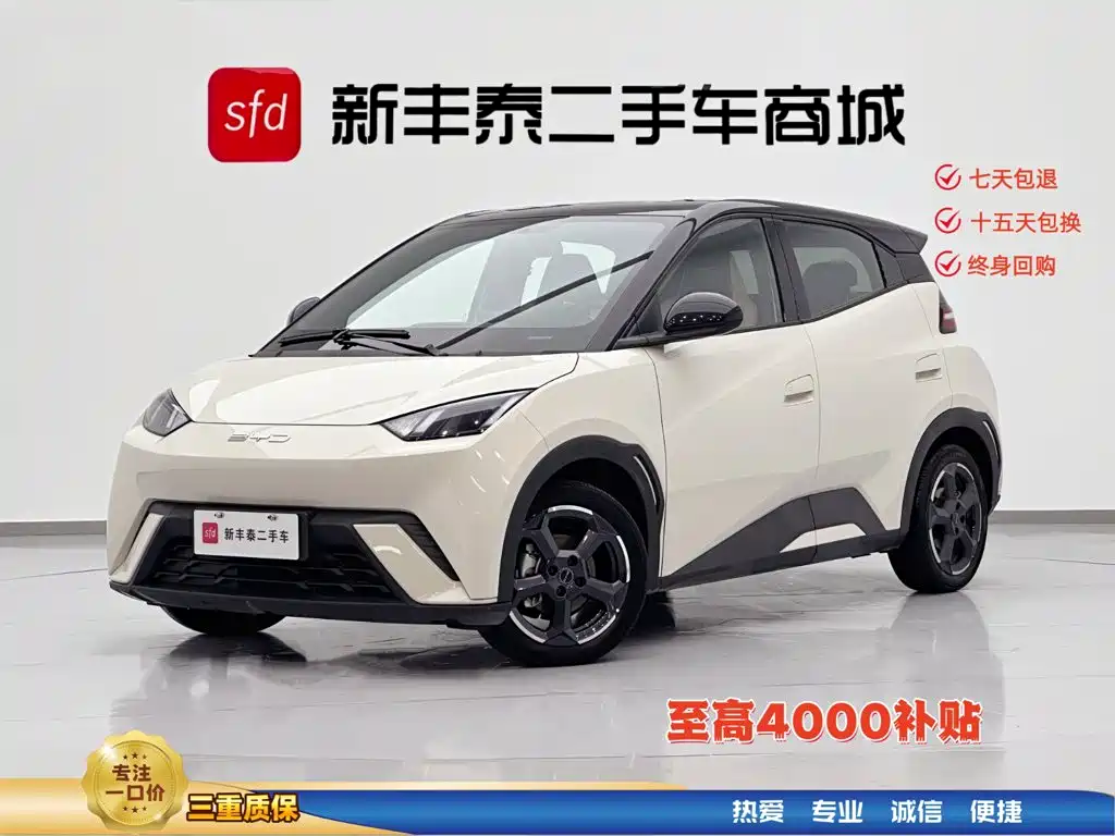 BYD Seagull 2024 — фото 1