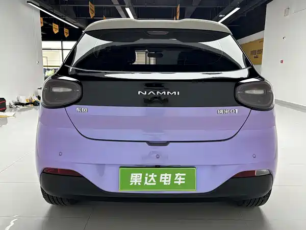 Dongfeng Nano 01 2025