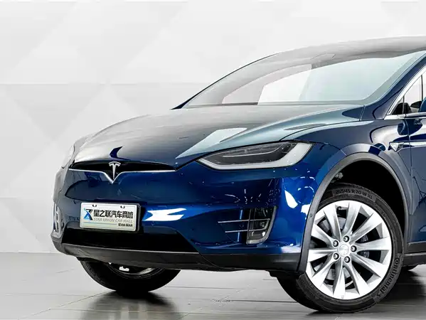 Tesla Model X 2019