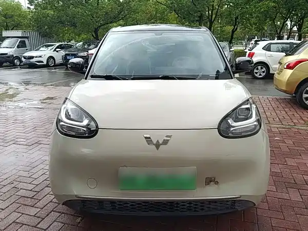 Wuling Bingo 2024