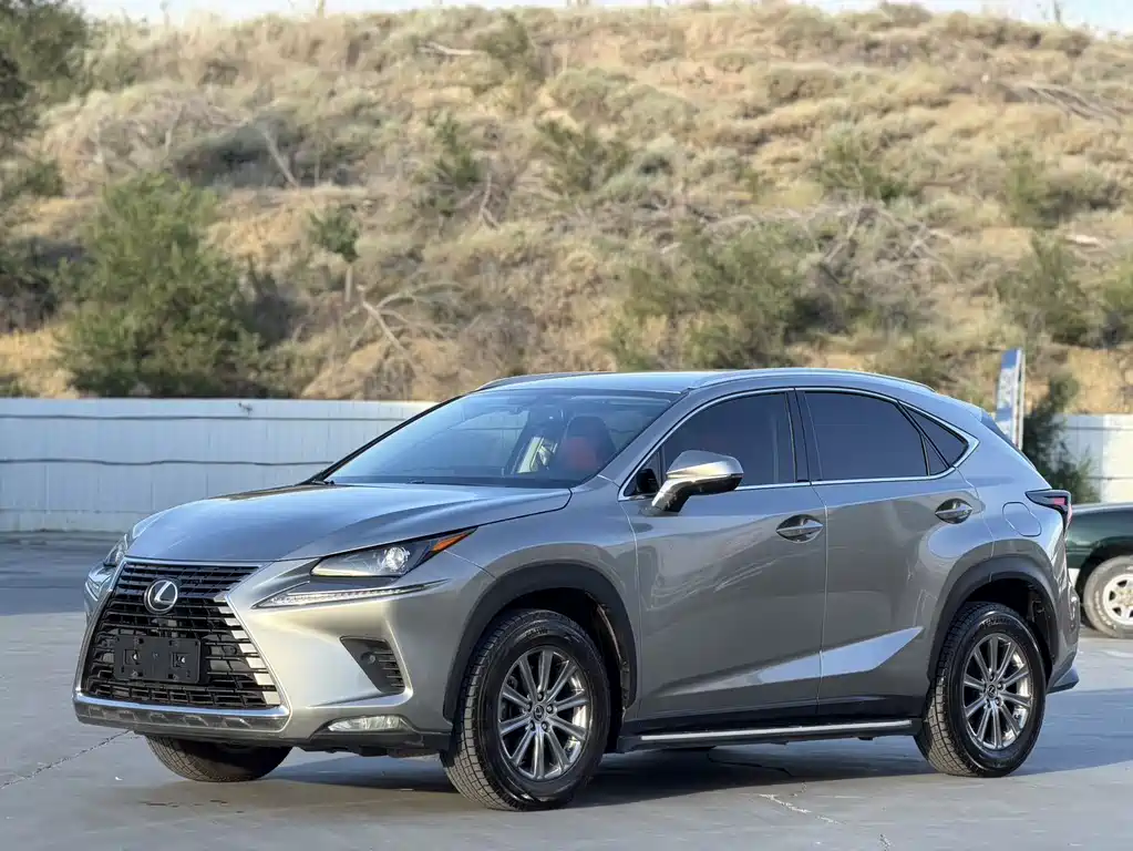 Lexus NX 2020 — фото 1